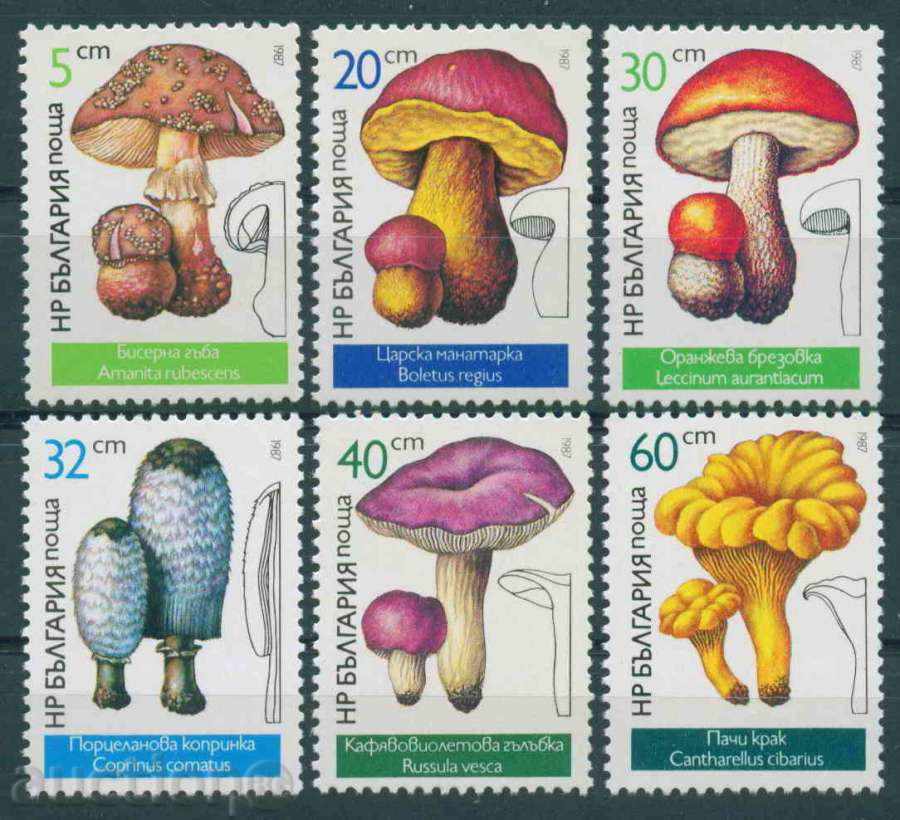 3573 Bulgaria 1987 - EDIBLE MUSHROOMS **