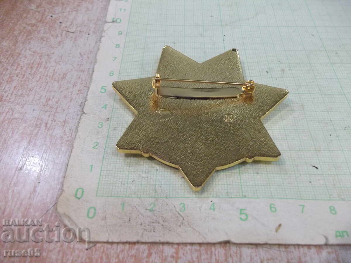 Arizona Highway Patrol Badge - Gold Patrol Officer - 5 Arizona Highway Patrol Badge - Gold Patrol Officer - 5