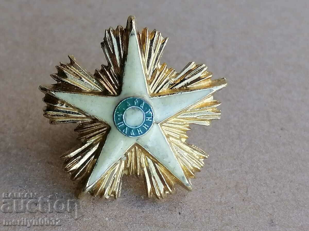 Τάγμα Στάρα Πλανίνα 1ου βαθμού μινιατούρα - 6