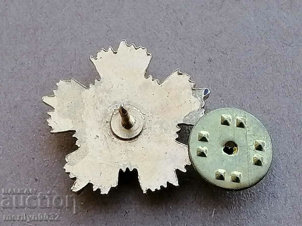 Τάγμα Στάρα Πλανίνα 1ου βαθμού μινιατούρα - 7