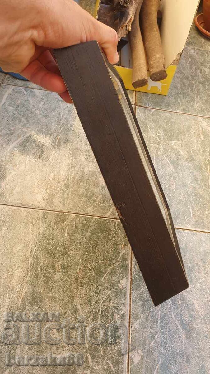 Tarantula Spider - 5 Tarantula Spider - 5