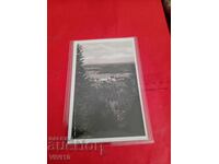 Старинна пощенска картичка 1943г