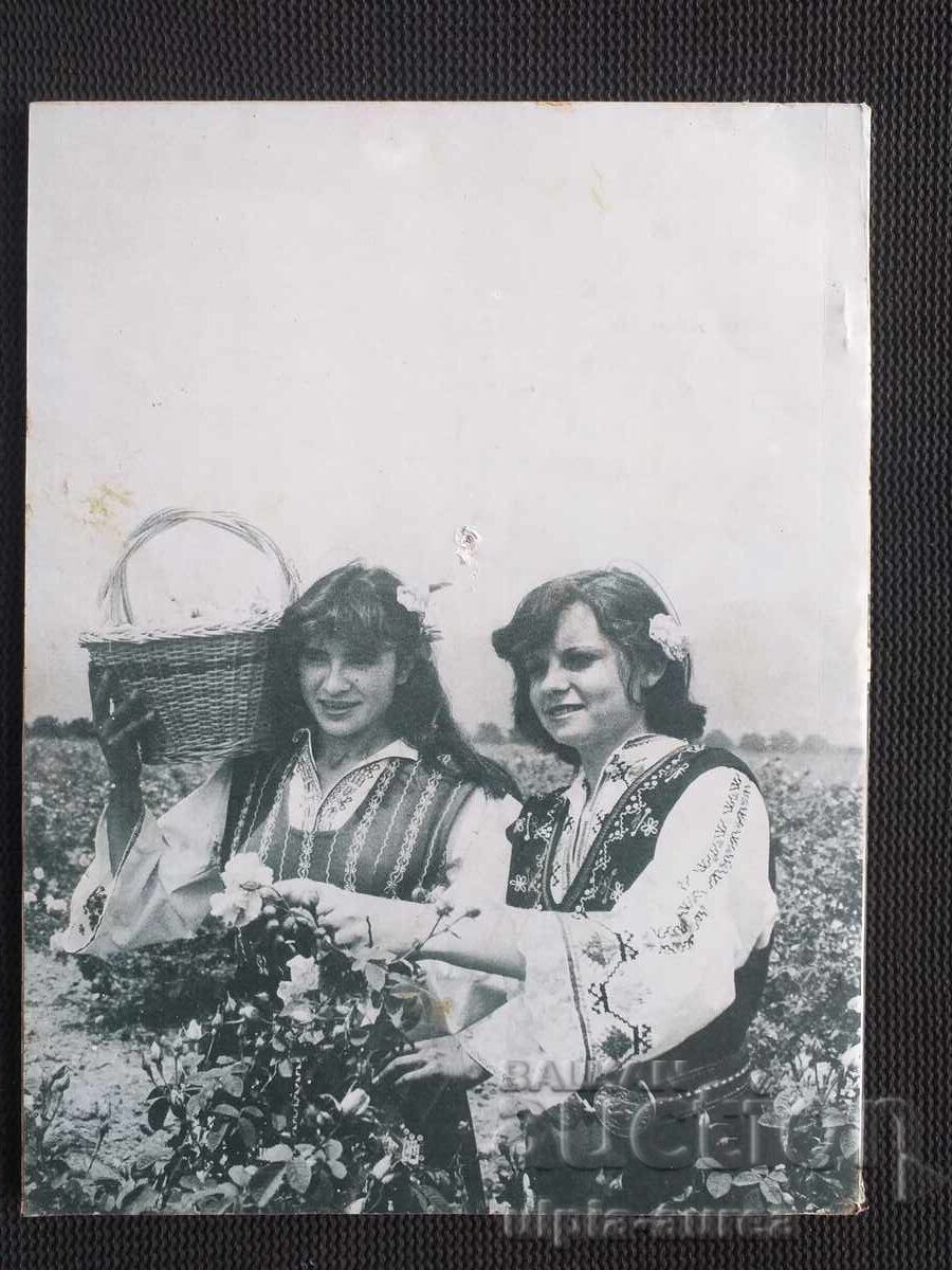 ΝΕΟΛΑΙΑ με τιμή 1.00 BGN | € 0.51