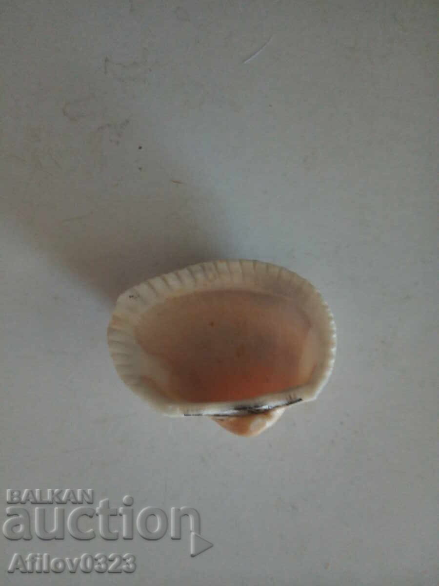Small fossil of an ancient clam shell with price 1.00 BGN | € 0.51