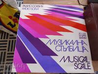 Disc gramofon Scară muzicală
