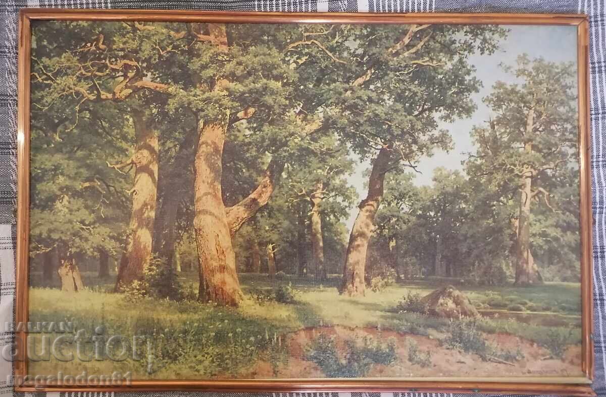 Reproducere veche sovietică, peisaj forestier