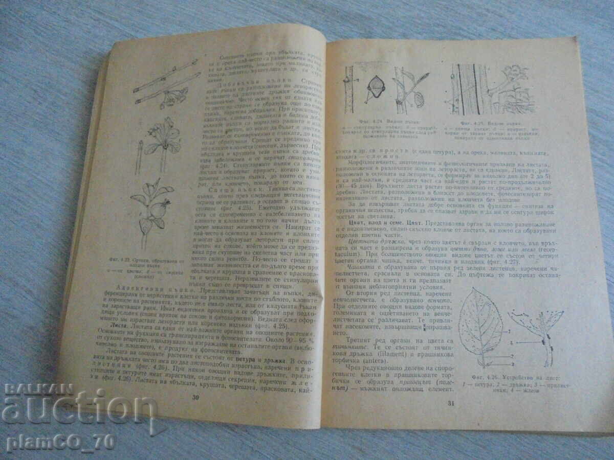 Аукцион №*8168 стара книга - "Овощарство"   - издателство - Земиздат