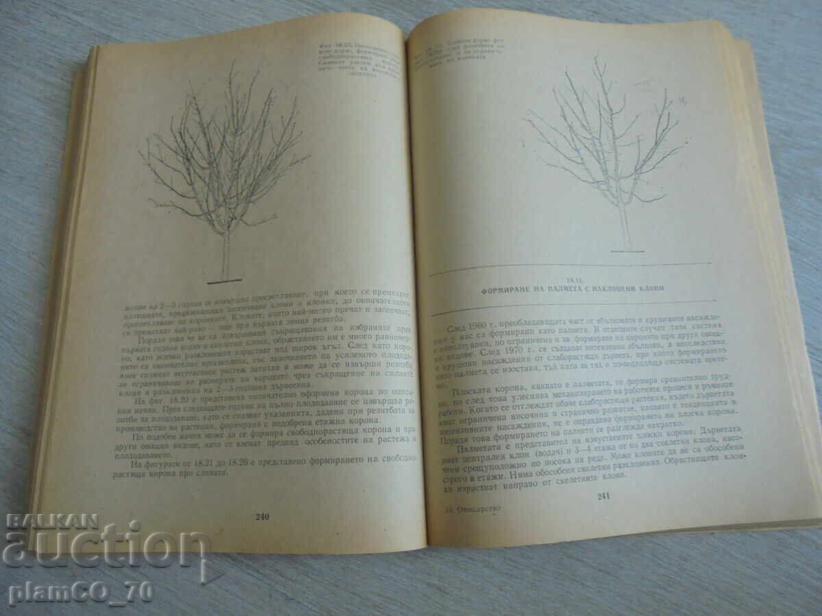 Доставка на №*8168 стара книга - "Овощарство"   - издателство - Земиздат