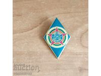 Emblemă pe sub.22710 - divizie de artilerie de recunoaștere a armatei