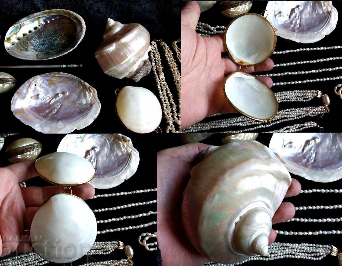 Delivery of Pearls, mother-of-pearl, and etc