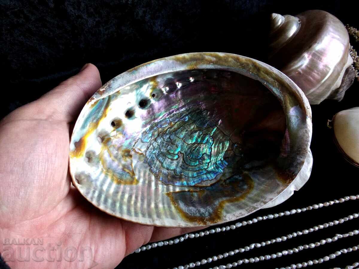 Pearls, mother-of-pearl, and etc - 5