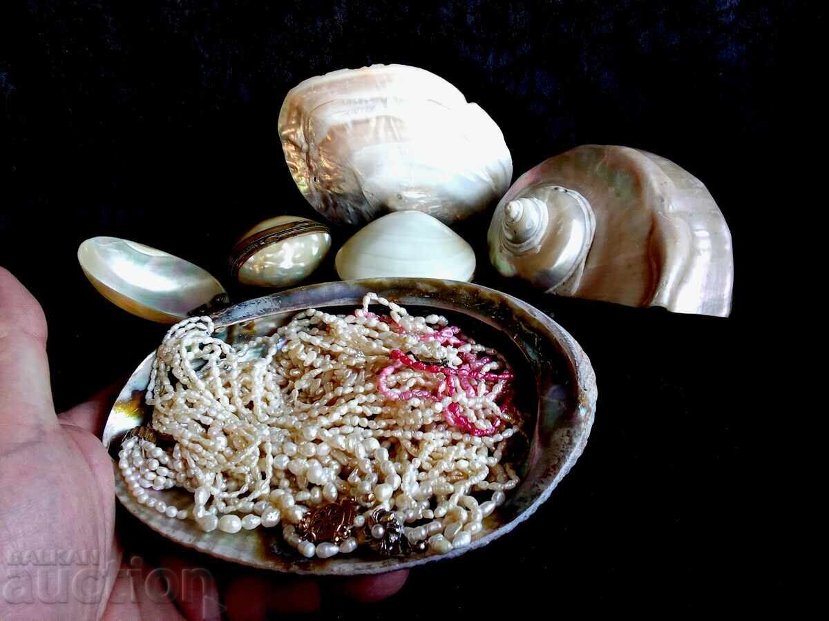 Pearls, mother-of-pearl, and etc - 6