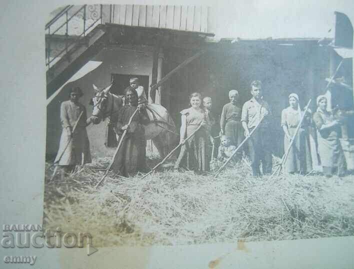 Παλιά φωτογραφία - αλώνισμα με τιμή 1.00 BGN | € 0.51