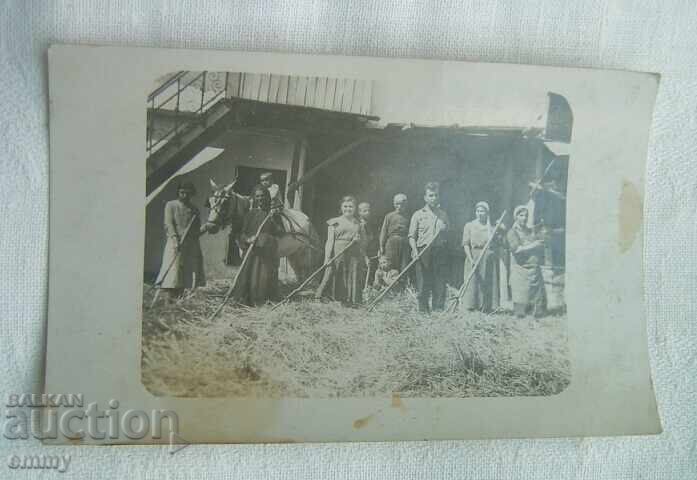 Παλιά φωτογραφία - αλώνισμα