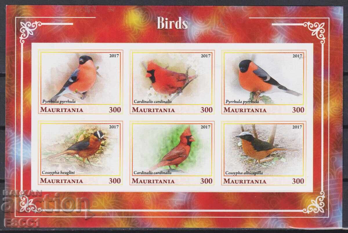 Καθαρές γραμματόσημα σε μικρό φύλλο Fauna Πουλιά 2017 από Μαυριτανία