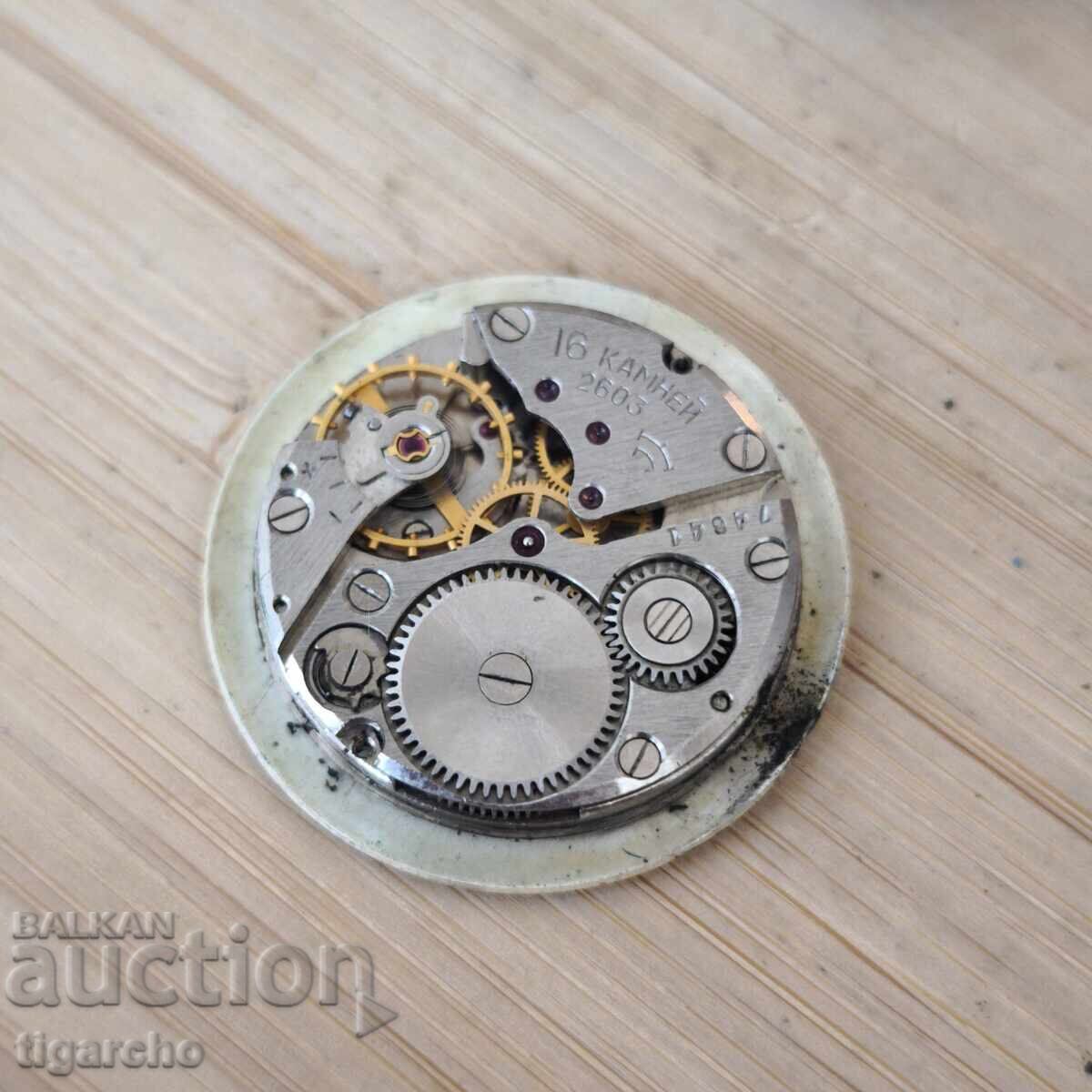 Delivery of Raketa Men's Watch Movement