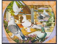 Stamped block Fauna Birds Pigeons 2021 from Mali