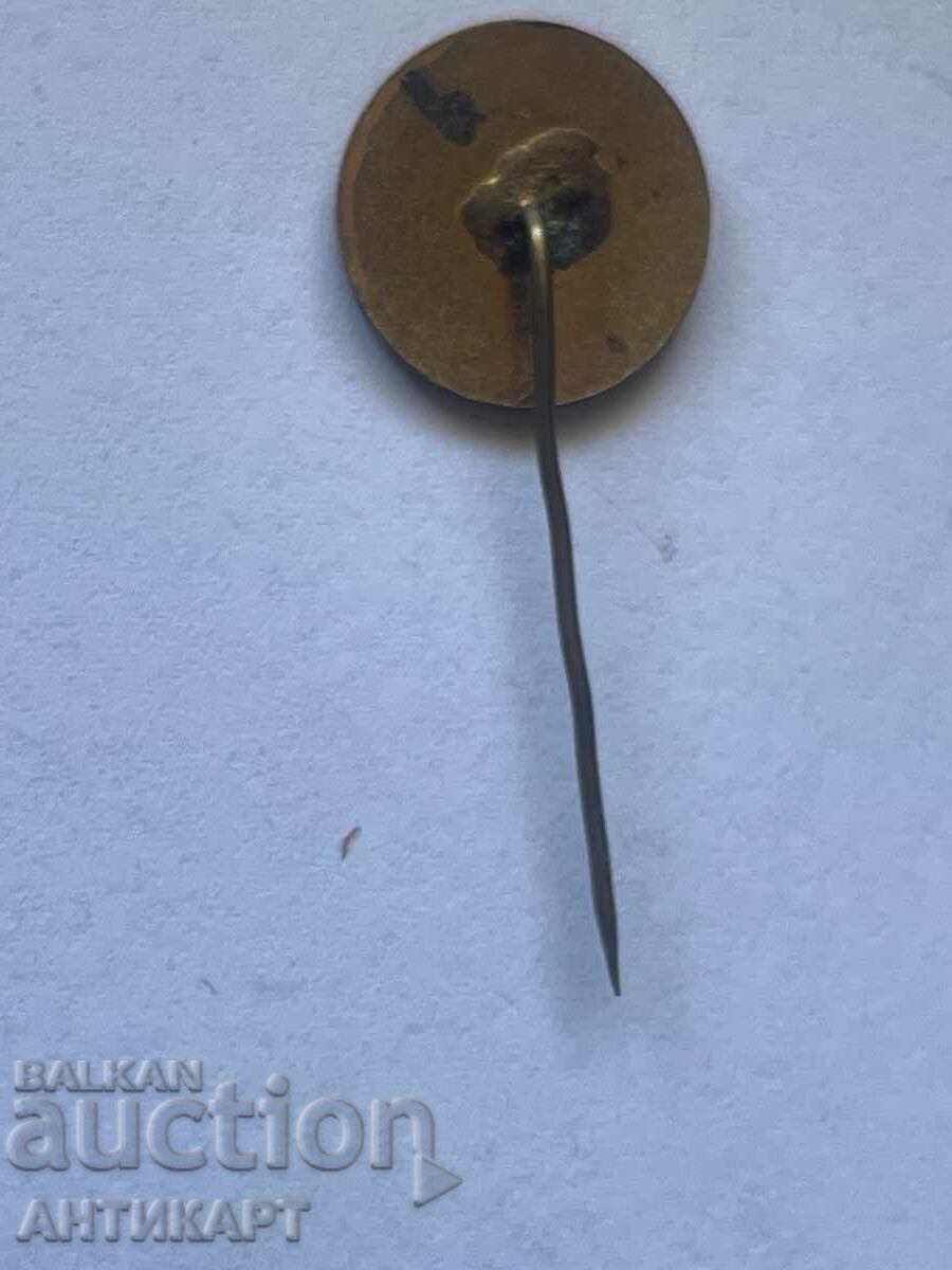 Σπάνιο σήμα με την εικόνα του Γκεόργκι Δημητρόφ μπρούτζινο σμάλτο με τιμή 7.00 BGN | € 3.58