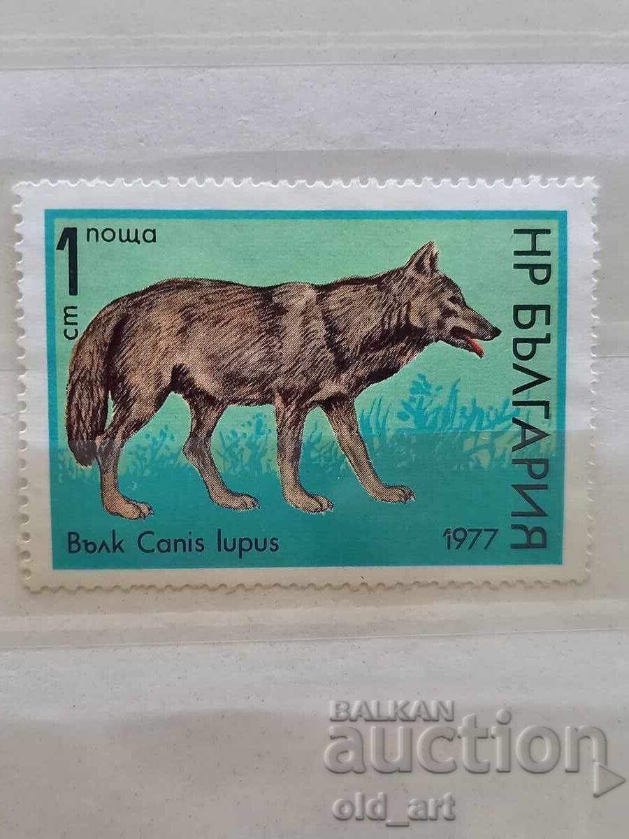 Γραμματόσημο - Λύκος Γραμματόσημο - Λύκος