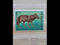 Postage Stamp - Wolf