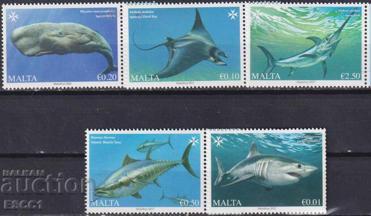 Καθαρές γραμματόσημες Fauna Ribi 2023 από τη Μάλτα Καθαρές γραμματόσημες Fauna Ribi 2023 από τη Μάλτα