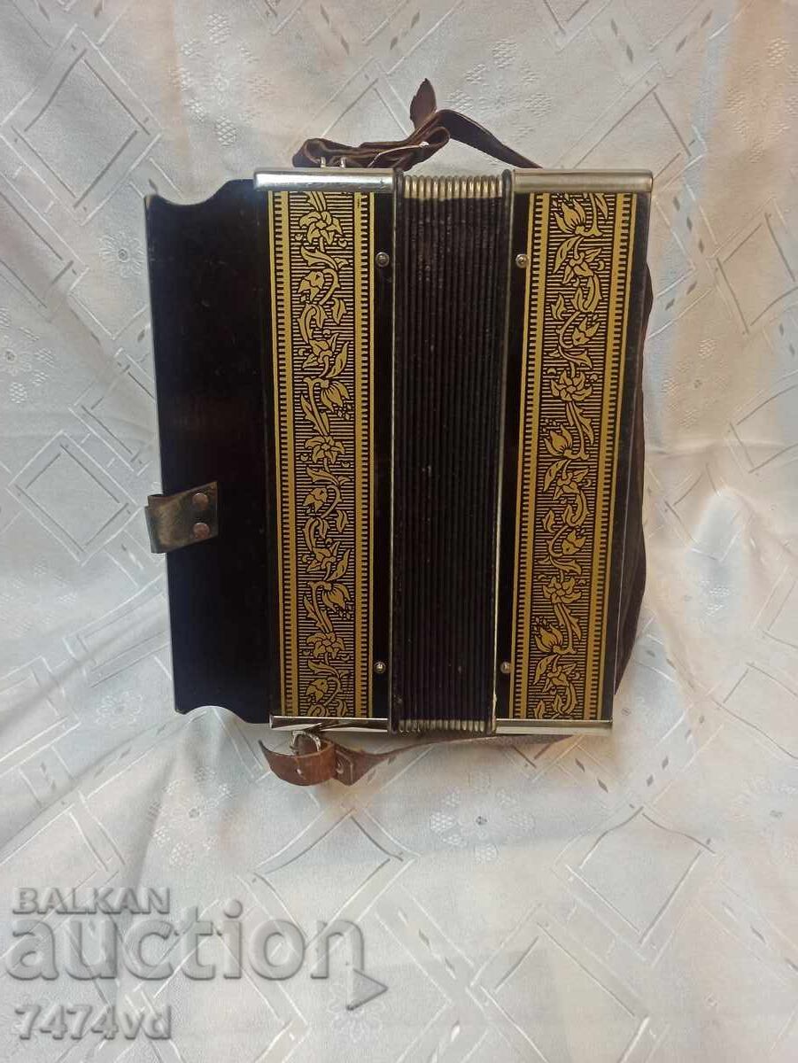 Rare collector's accordion - Hohner - single-row diatonic - 5 Rare collector's accordion - Hohner - single-row diatonic - 5