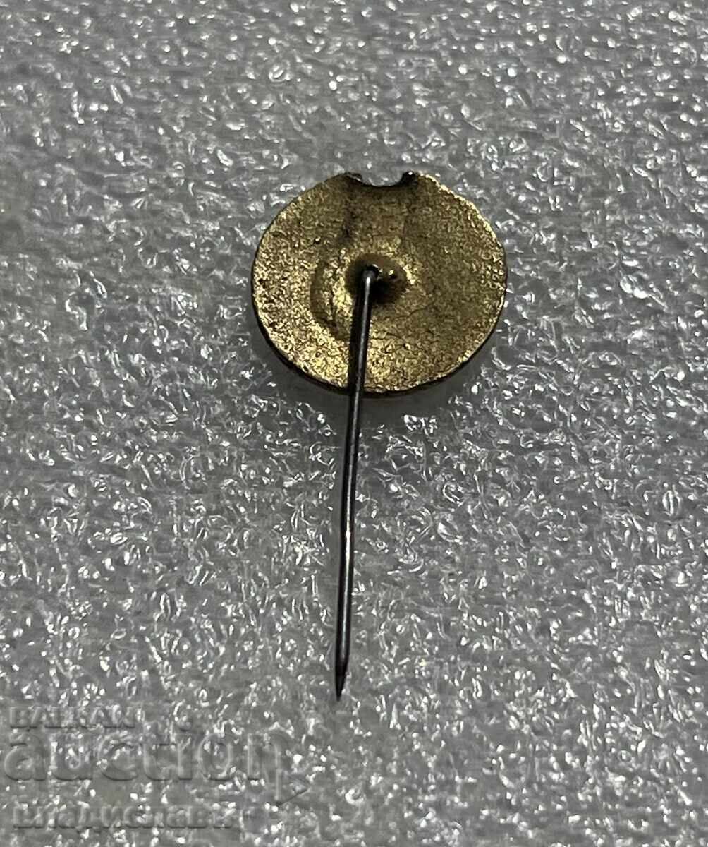 Auction CDNA Auction CDNA