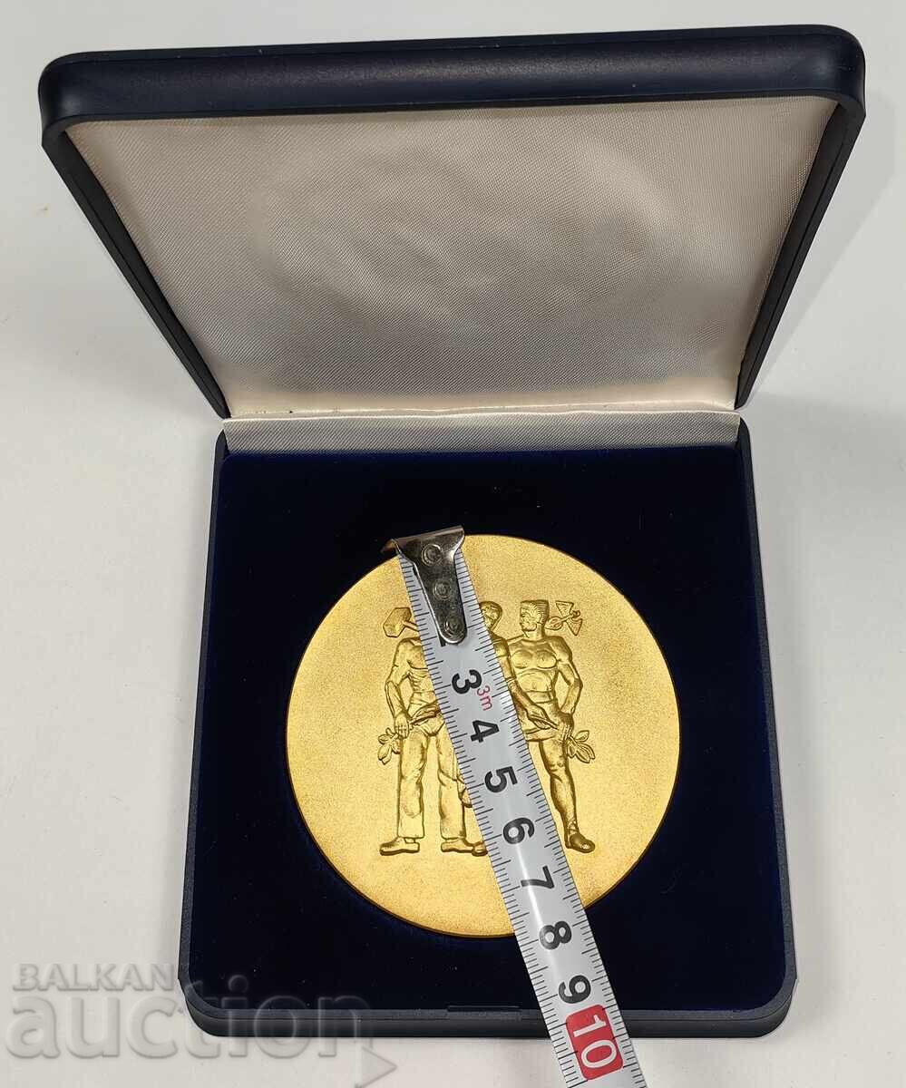 Licitație PLACHETĂ MARE ÎN CUTIE