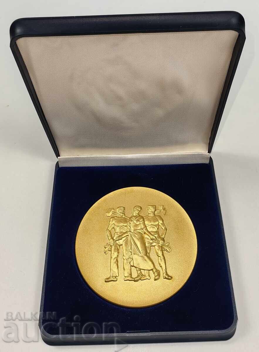 PLACHETĂ MARE ÎN CUTIE