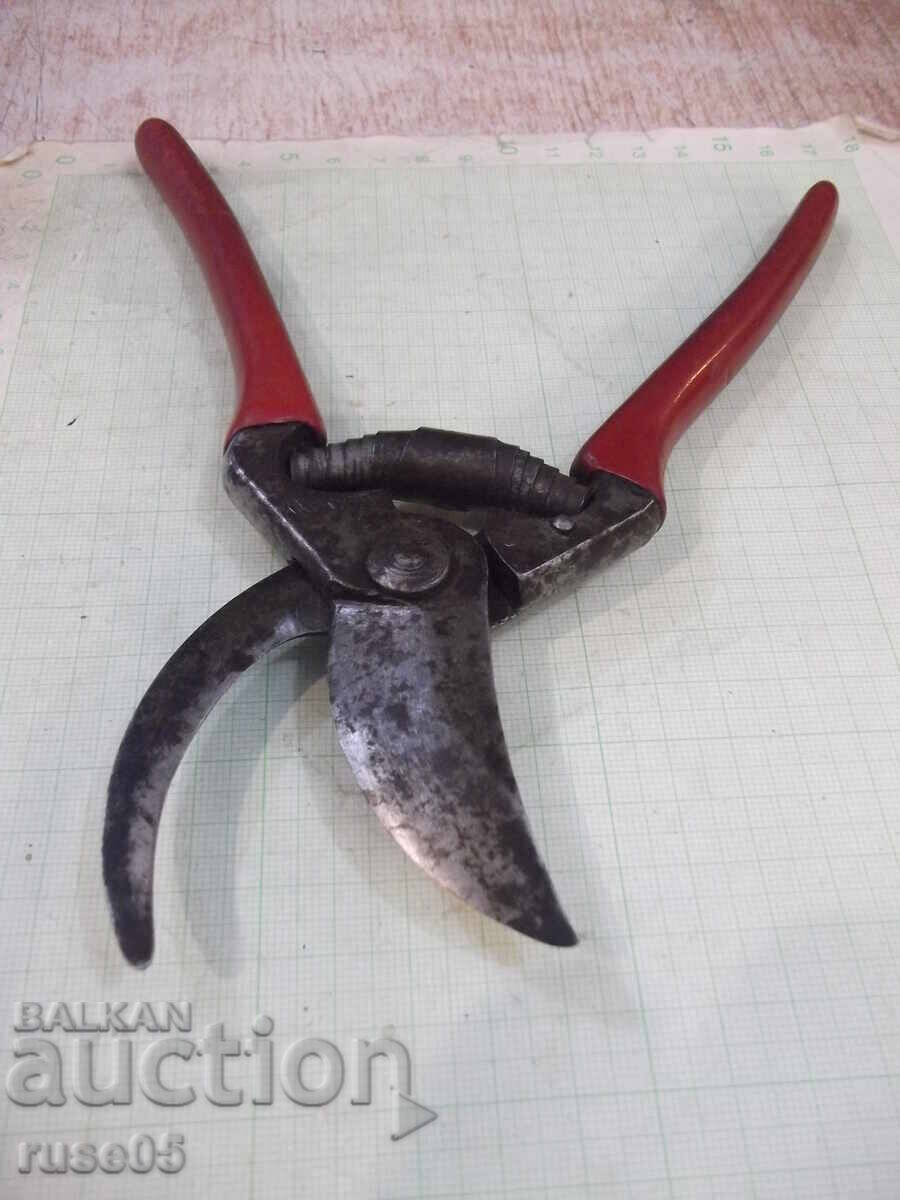 Auction Vineyard Scissors - 1 Auction Vineyard Scissors - 1