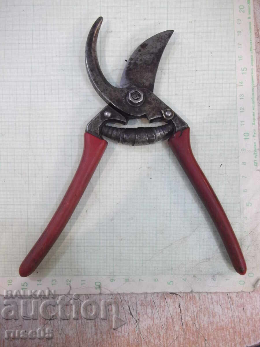 Delivery of Vineyard Scissors - 1 Delivery of Vineyard Scissors - 1