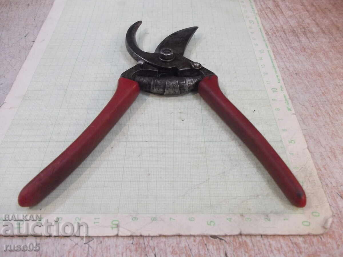 Vineyard Scissors - 1 - 5 Vineyard Scissors - 1 - 5