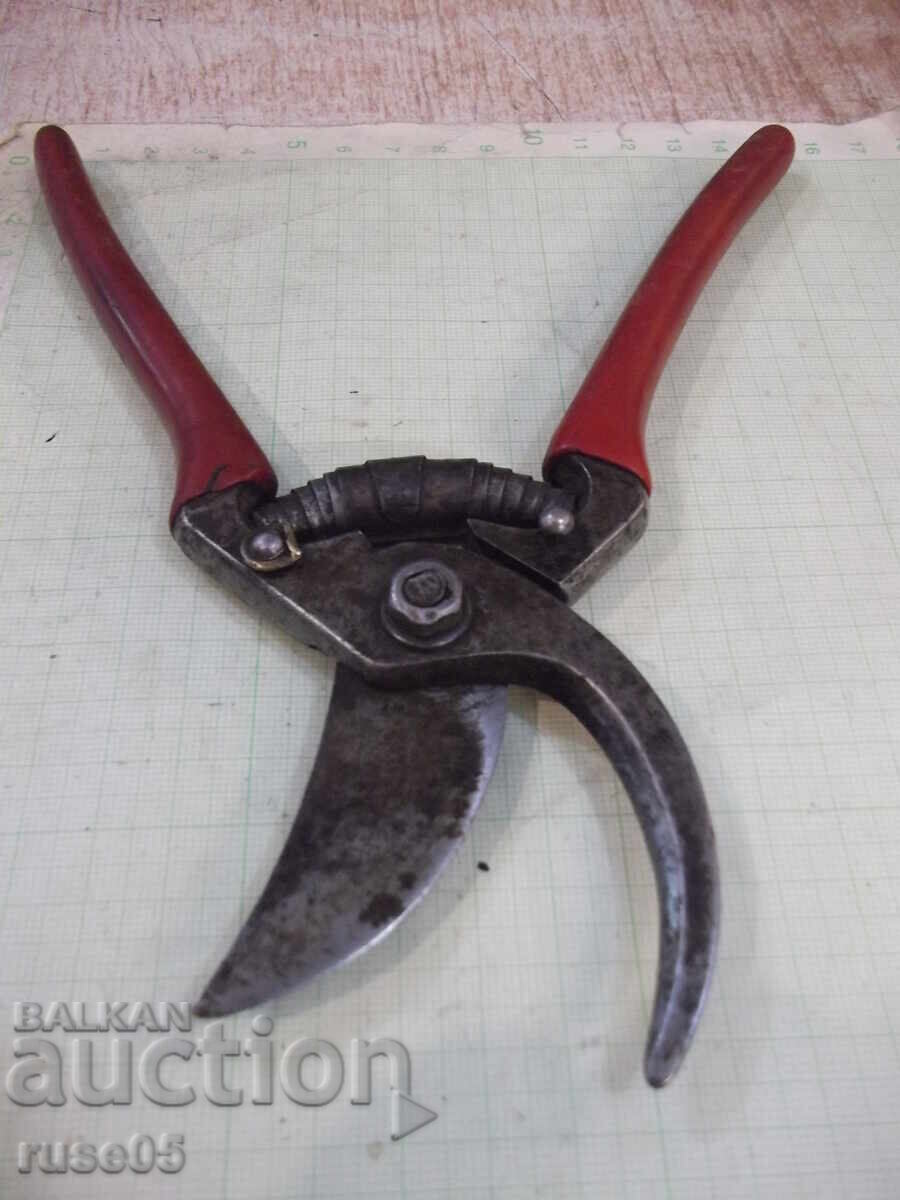 Vineyard Scissors - 1 - 6 Vineyard Scissors - 1 - 6