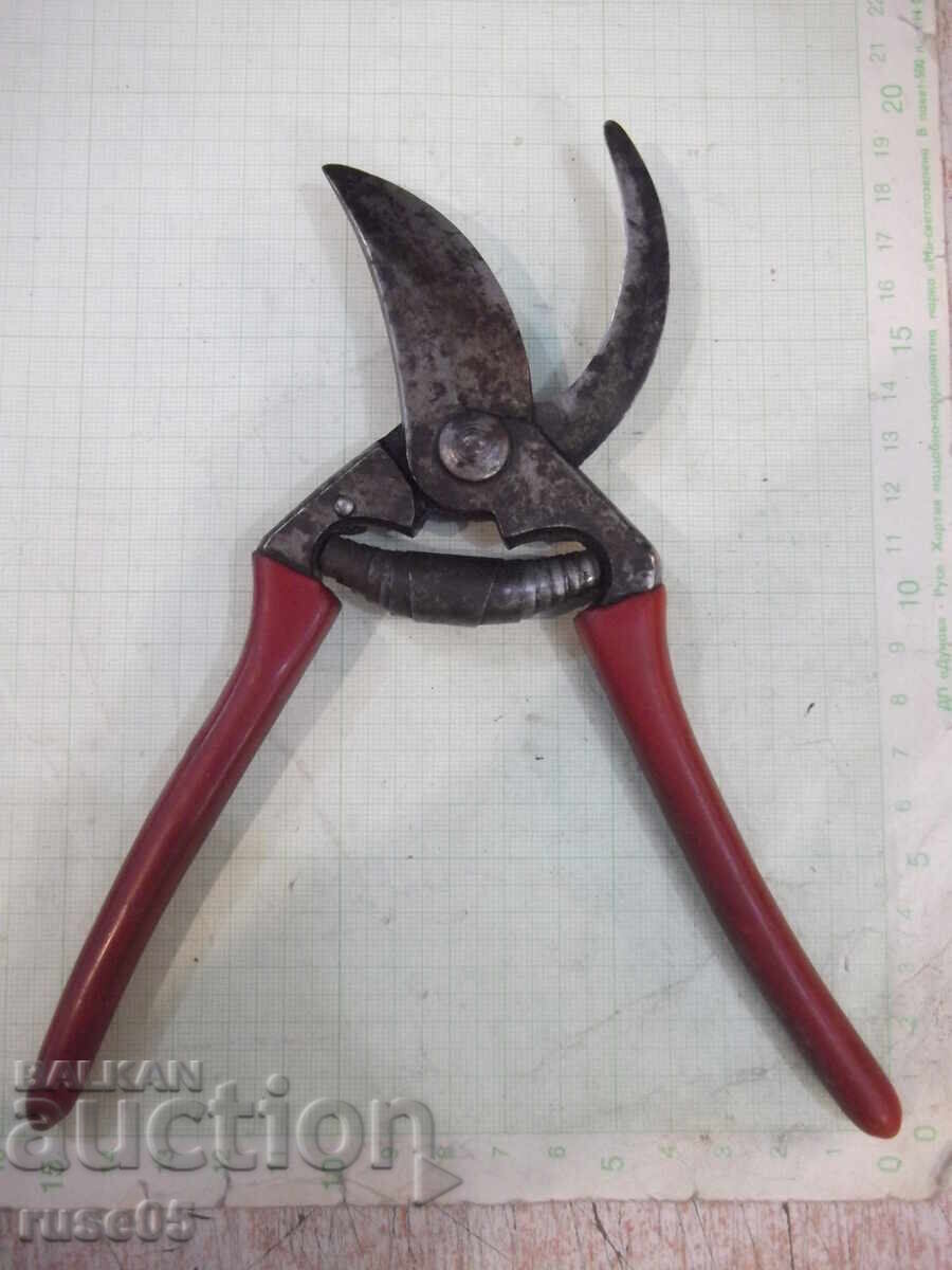 Vineyard Scissors - 1 Vineyard Scissors - 1