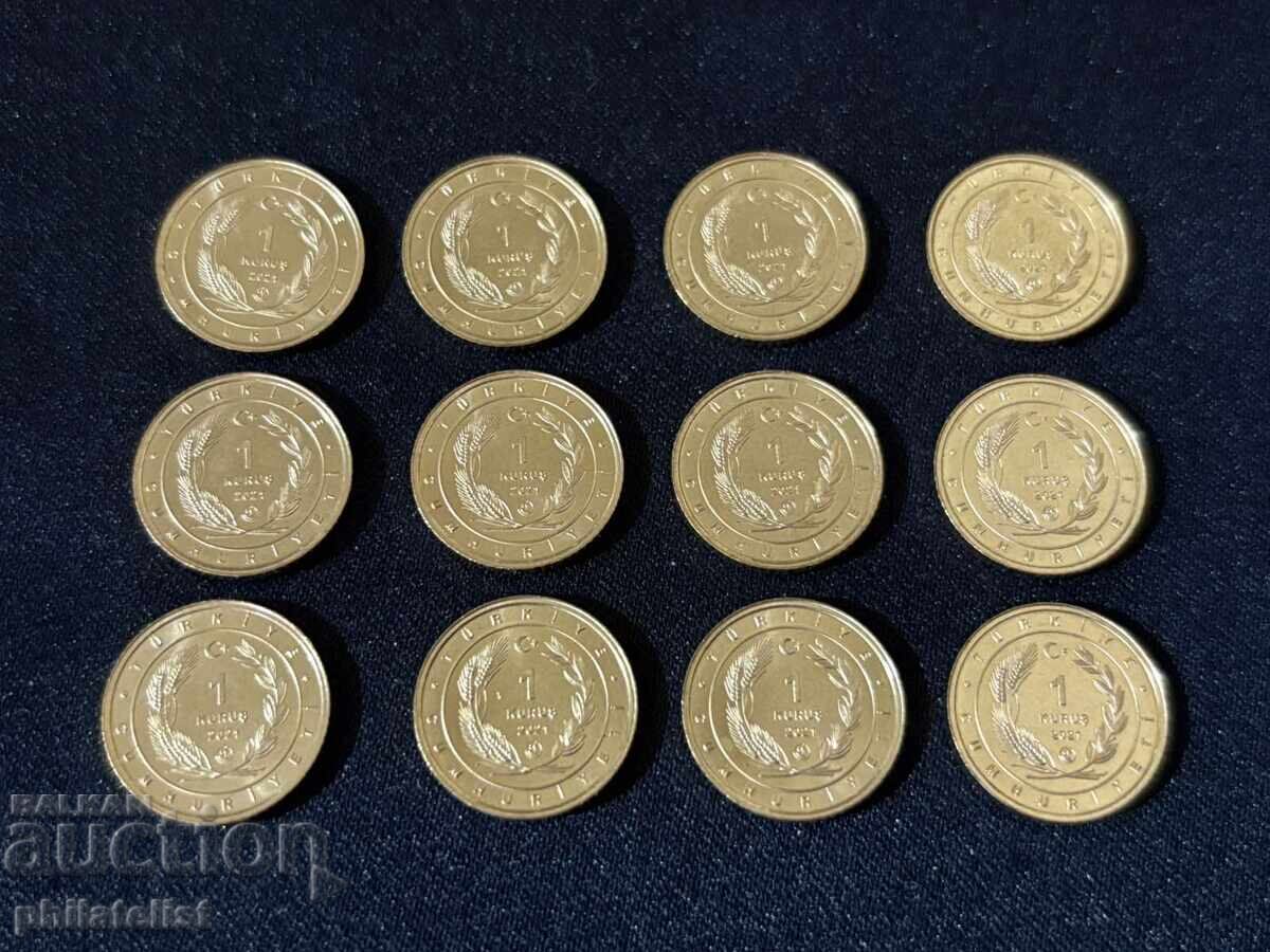 Турция 2021 – Комплектен сет от 12 монети по 1 куруш , птици - 6 Турция 2021 – Комплектен сет от 12 монети по 1 куруш , птици - 6