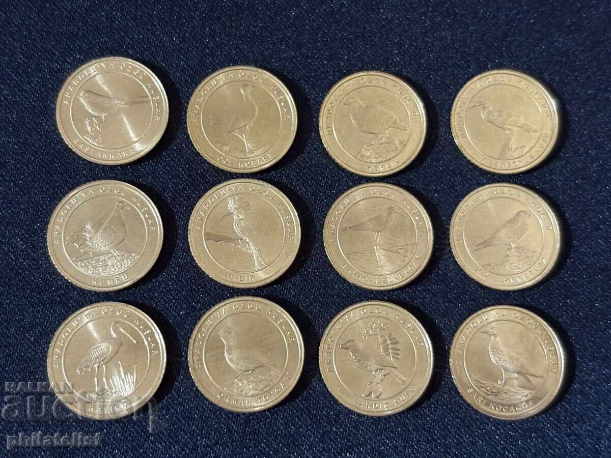 Τουρκία 2021 – Ολοκληρωμένο σετ 12 νομισμάτων των 1 κουρούς, πουλιά με τιμή 28.00 BGN | € 14.32 Τουρκία 2021 – Ολοκληρωμένο σετ 12 νομισμάτων των 1 κουρούς, πουλιά με τιμή 28.00 BGN | € 14.32