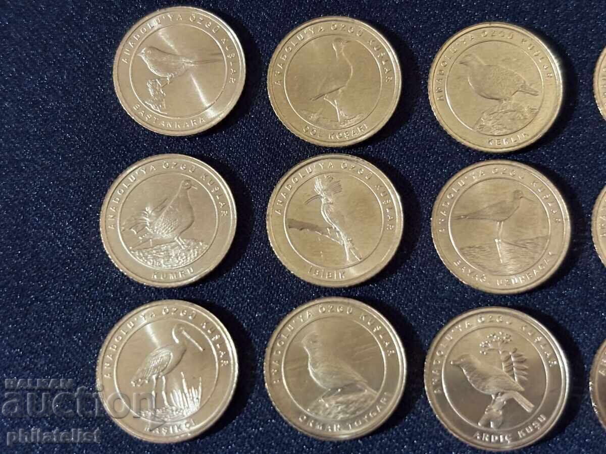 Δημοπρασία Τουρκία 2021 – Ολοκληρωμένο σετ 12 νομισμάτων των 1 κουρούς, πουλιά Δημοπρασία Τουρκία 2021 – Ολοκληρωμένο σετ 12 νομισμάτων των 1 κουρούς, πουλιά