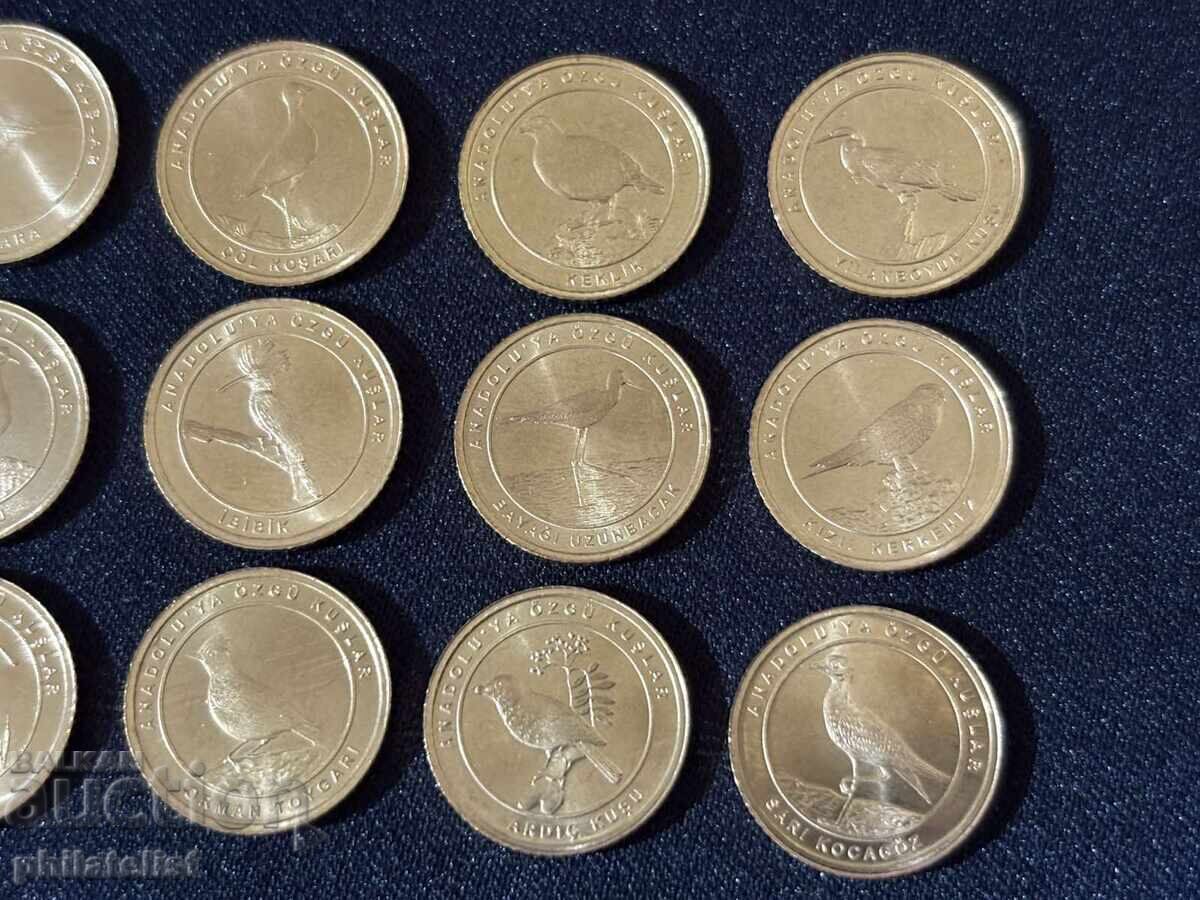 Παράδοση Τουρκία 2021 – Ολοκληρωμένο σετ 12 νομισμάτων των 1 κουρούς, πουλιά Παράδοση Τουρκία 2021 – Ολοκληρωμένο σετ 12 νομισμάτων των 1 κουρούς, πουλιά