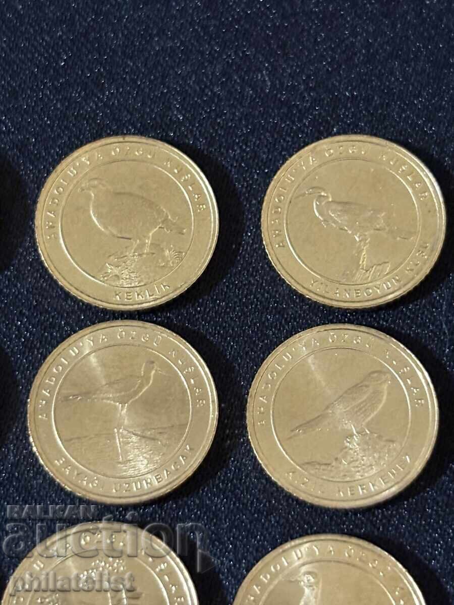 Τουρκία 2021 – Ολοκληρωμένο σετ 12 νομισμάτων των 1 κουρούς, πουλιά - 5 Τουρκία 2021 – Ολοκληρωμένο σετ 12 νομισμάτων των 1 κουρούς, πουλιά - 5