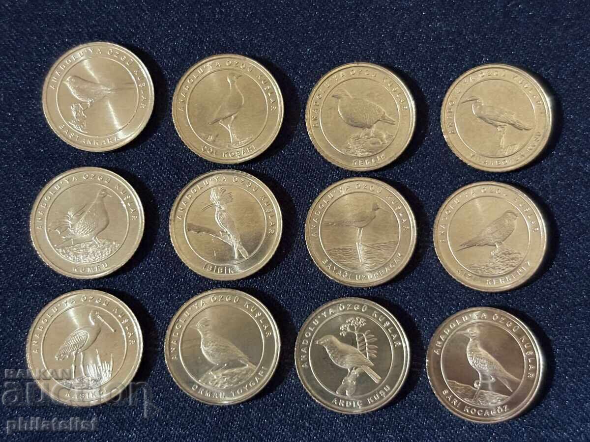 Τουρκία 2021 – Ολοκληρωμένο σετ 12 νομισμάτων των 1 κουρούς, πουλιά Τουρκία 2021 – Ολοκληρωμένο σετ 12 νομισμάτων των 1 κουρούς, πουλιά