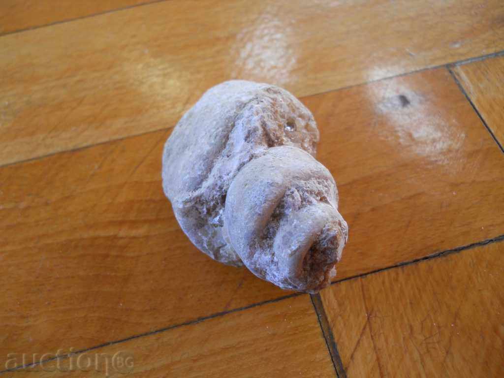 Fossil with price 4.00 BGN | € 2.05