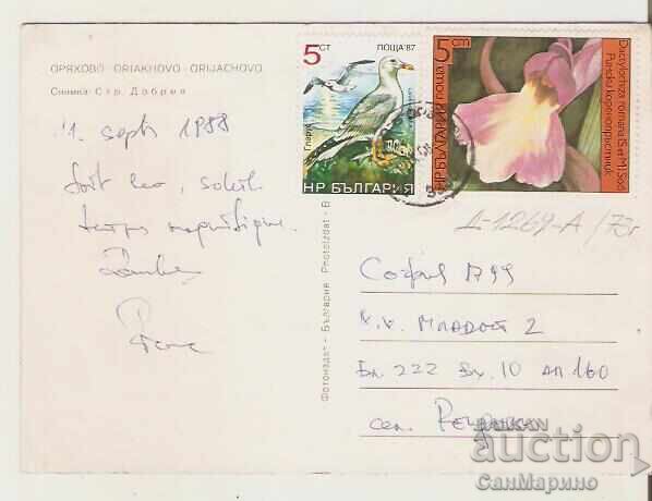 Κάρτα Βουλγαρία Οryakhovo Θέα* με τιμή 1.40 BGN | € 0.72