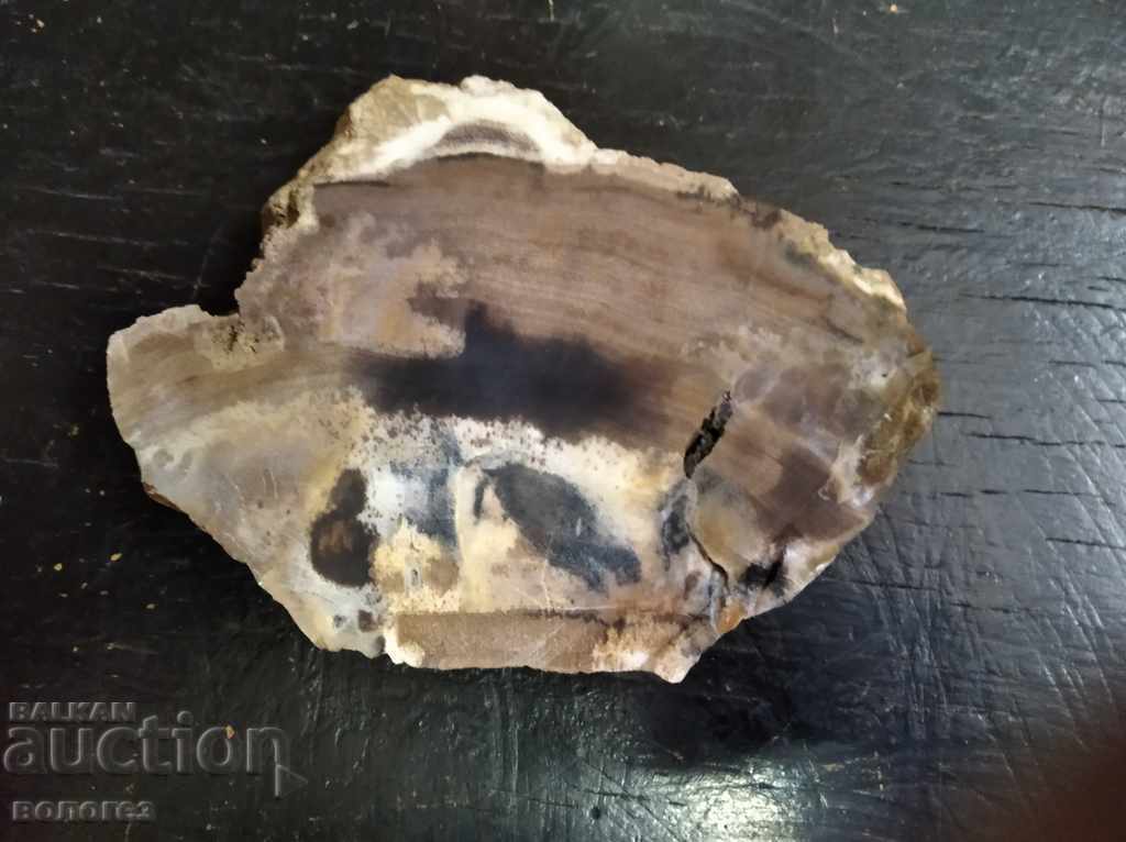 Petrified opalized wood - unpolished with price 15.00 BGN | € 7.67