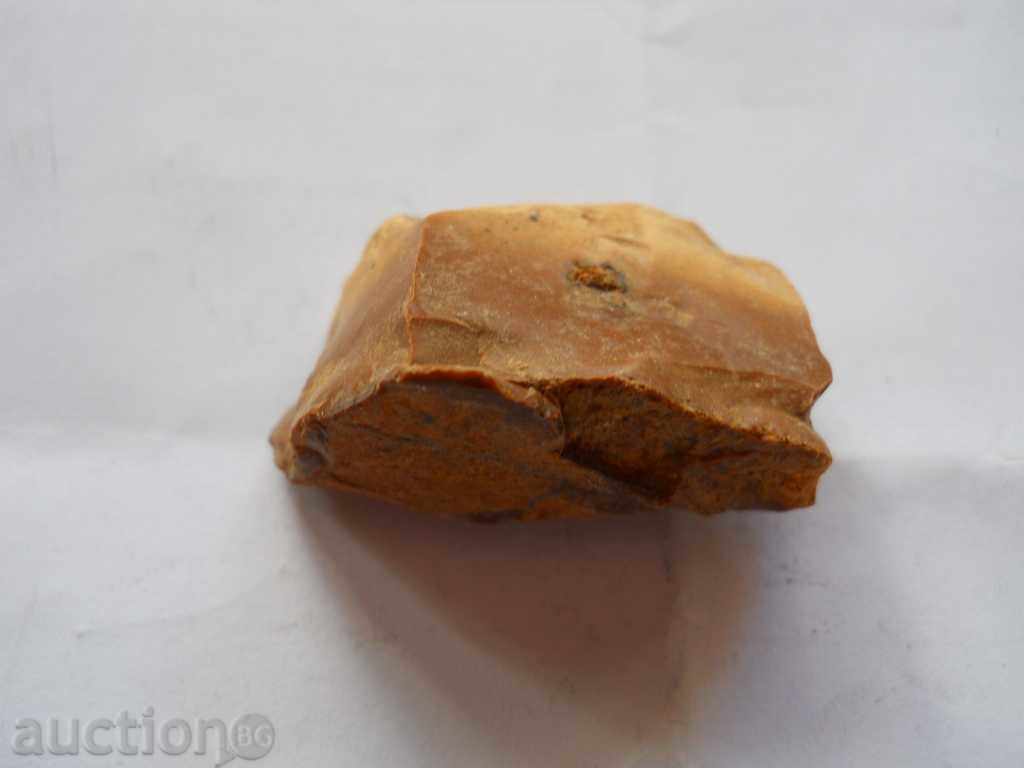 Petrified opalized wood with price 5.00 BGN | € 2.56