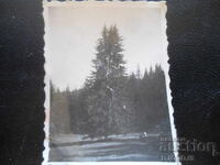 Стара снимка