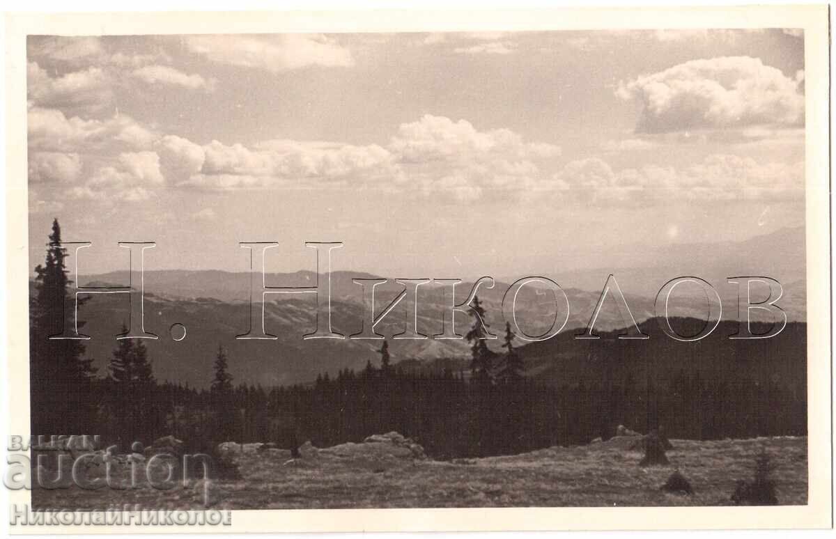 1939 СТАРА СНИМКА РОДОПИТЕ ФОТОПЪТЕПИС ЧАСТНА КОЛЕКЦИЯ Е279 1939 СТАРА СНИМКА РОДОПИТЕ ФОТОПЪТЕПИС ЧАСТНА КОЛЕКЦИЯ Е279