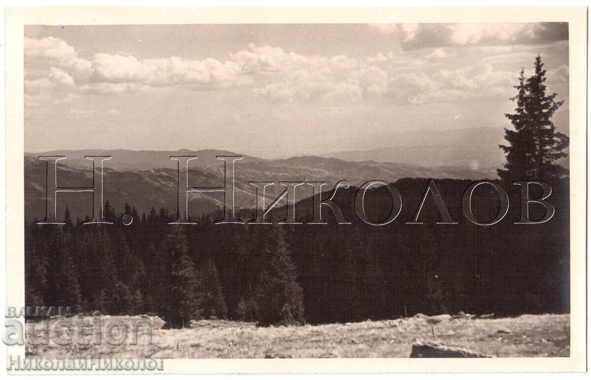 1939 OLD PHOTO OF THE RHODOPE MOUNTAINS PHOTO REPORTAGE PRIVATE COLLECTION E280