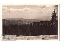 1939 OLD PHOTO OF THE RHODOPE MOUNTAINS PHOTO REPORTAGE PRIVATE COLLECTION E280