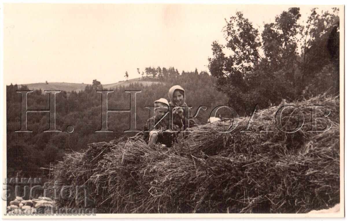 1939 СТАРА СНИМКА РОДОПИТЕ "ПОМАЧЕТА" ЧАСТНА КОЛЕКЦИЯ Е281