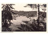 1939 OLD PHOTO YUNDOLA PHOTO TRAVELOGUE PRIVATE COLLECTION E284